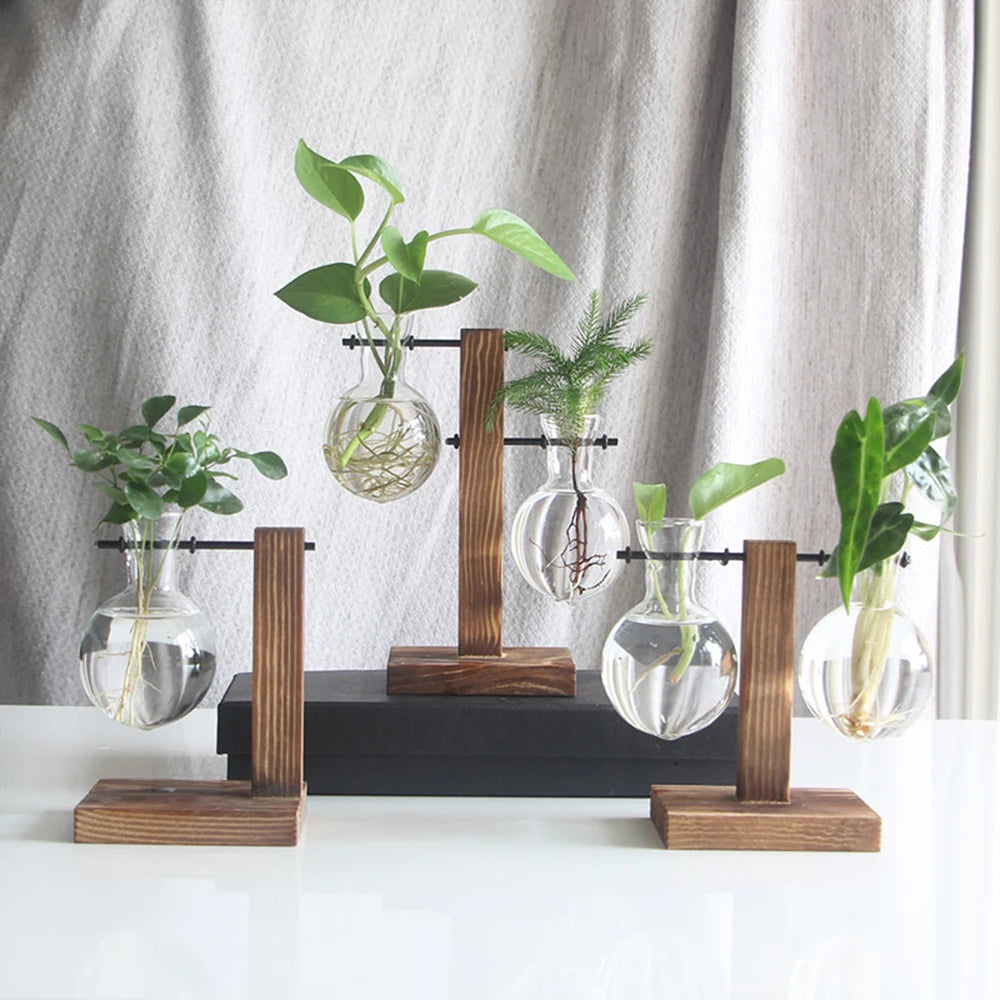 Creative Glass Planter Bulb Vase Wooden Stand Hydroponic Plant Container
