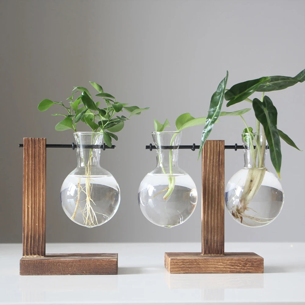 Creative Glass Planter Bulb Vase Wooden Stand Hydroponic Plant Container