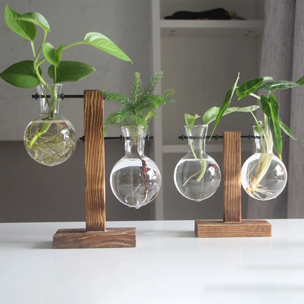 Creative Glass Planter Bulb Vase Wooden Stand Hydroponic Plant Container